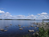 Blick auf den Pielinensee in Richtung Halbinsel Kaiskunniemi
