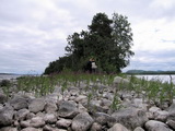 An der Spitze