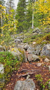 Finnland 2026: Syöte Nationalpark