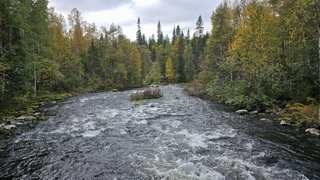 Finnland 2026: Oulanka Nationalpark