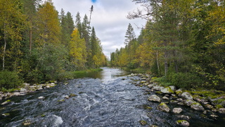 Finnland 2026: Oulanka Nationalpark