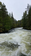 Finnland 2026: Oulanka Nationalpark
