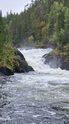 Finnland 2026: Oulanka Nationalpark