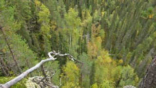 Finnland 2026: Oulanka Nationalpark