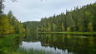 Finnland 2026: Oulanka Nationalpark