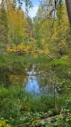 Finnland 2026: Oulanka Nationalpark