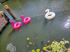 Hamburg (D)