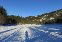 Bergen - Hurtigruten 2016