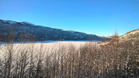 Bergen-Bahn (Oslo-Bergen) - Hurtigruten 2016