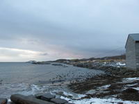 Bodø - Hurtigruten 2016
