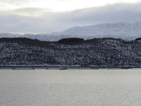 Finnsnes - Hurtigruten 2016