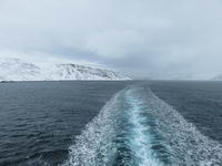 Havøysund - Hurtigruten 2016