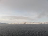 Kirkenes - Hurtigruten 2016