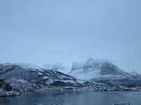 Ørnes - Hurtigruten 2016