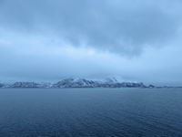 Ørnes - Hurtigruten 2016