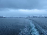 Ørnes - Hurtigruten 2016