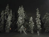 Saariselkä - Hurtigruten 2016