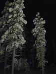 Saariselkä - Hurtigruten 2016