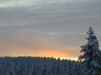 Saariselkä - Hurtigruten 2016