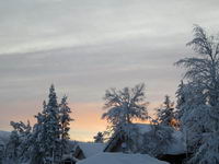 Saariselkä - Hurtigruten 2016