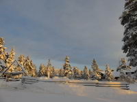 Saariselkä - Hurtigruten 2016
