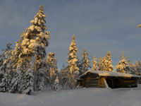 Saariselkä - Hurtigruten 2016