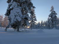 Saariselkä - Hurtigruten 2016