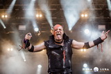 M'era Luna 2015: Tanzwut (Copyright by meraluna.de)