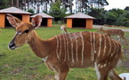 Serengeti-Park Hodenhagen (Hannover/Bremen, D)