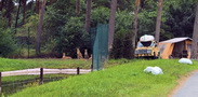 Serengeti-Park Hodenhagen (Hannover/Bremen, D)