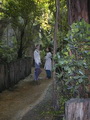 Tropenhaus, Tierpark Schönbrunn, Wien