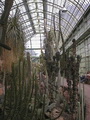 Wüstenhaus, Tierpark Schönbrunn, Wien