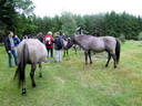 Wanderung bei Rudczanny, Polen (Quelle: Daniela Wingenfeld)