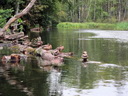 Flussfahrt über die Krutynia, Polen