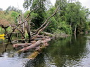 Flussfahrt über die Krutynia, Polen