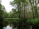 Flussfahrt über die Krutynia, Polen