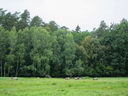 Wanderung bei Rudczanny, Polen