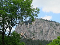 Felsenschlucht Cheile Bicazului