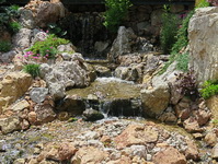 Felsenschlucht Cheile Bicazului