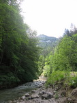 Felsenschlucht Cheile Bicazului