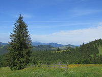 Piatra Fântânele