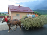 Verbreitetes Transportmittel (zu schnell für meine Kamera)
