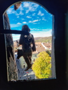 Sighișoara (Rumänien)