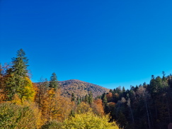 Sinaia (Rumänien) - Castelul Peleș