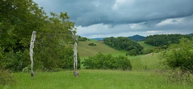 Burgruine Schenkenberg