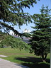 Novgorod's Kreml