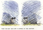 Humor: Wetter