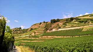 Umgebung