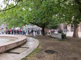 Politischer Protest, Sofia (Bulgarien)