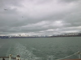 Umgebung von Longyearbyen
